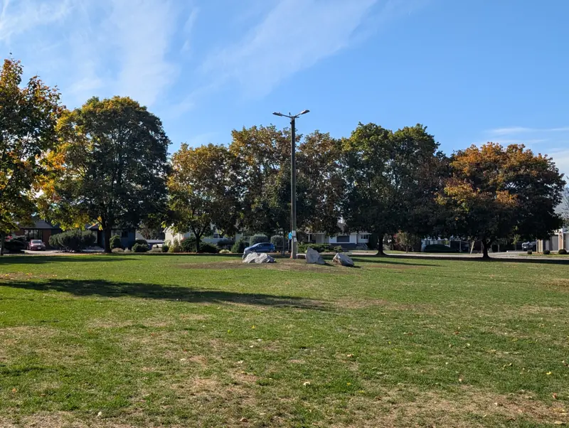 Crescent Park in fall colour, ringed by homes
