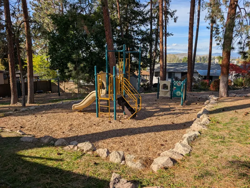 Pine Park playground under the ponderosa pines